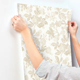 4172-27495 Beach Rose Champagne Floral Fruits Wallpaper