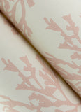 4172-82000 Tortuga Pink Coral Weave Wallpaper