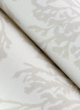  4172-82001 Tortuga Dove Coral Weave Wallpaper