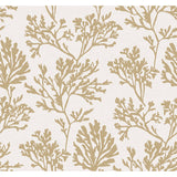4172-82002 Tortuga Gold Coral Weave Wallpaper