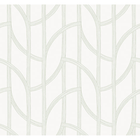 4172-82009 Salvo Light Green Curved Contours Wallpaper