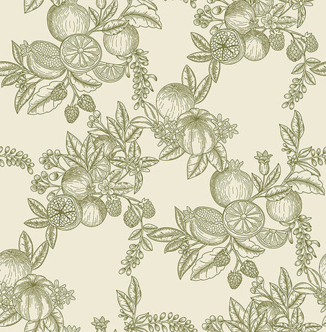  4173-27636 Gerty Green Fruit Toile Wallpaper