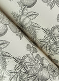 4173-27637 Gerty Black Fruit Toile Wallpaper