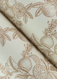 4173-27638 Gerty Copper Fruit Toile Wallpaper