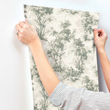4173-82104 Sainsbury Sage Forest Wallpaper