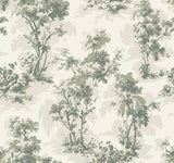 4173-82104 Sainsbury Sage Forest Wallpaper