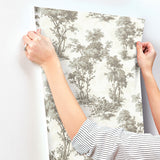 4173-82107 Sainsbury Slate Forest Wallpaper