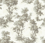 4173-82107 Sainsbury Slate Forest Wallpaper