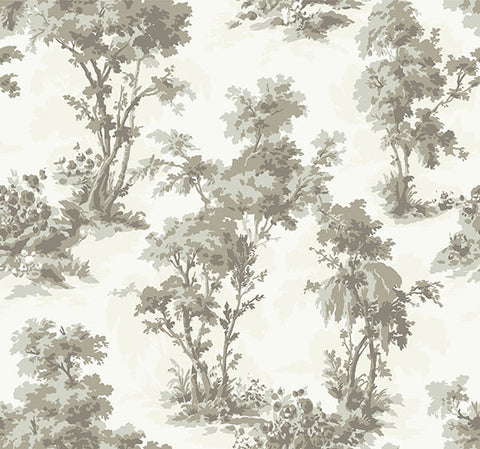 4173-82107 Sainsbury Slate Forest Wallpaper