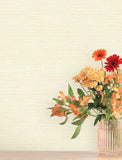 4197-24280 Agave Light Yellow Faux Grasscloth Wallpaper