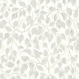 4201-20106 Hängbjörk Dove Vine Wallpaper