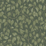  4201-20108 Hängbjörk Evergreen Vine Wallpaper