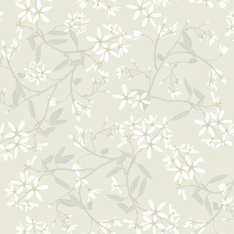 4201-20110 Paradis Dove Bouquet Toss Wallpaper