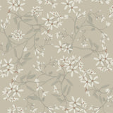 4201-20113 Paradis Grey Bouquet Toss Wallpaper