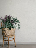  4201-48001 Siv Dove Botanical Wallpaper