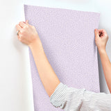4203-27579 Dotty Lavender Petite Polka Dot Wallpaper