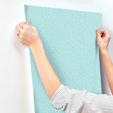 4203-27580 Dotty Light Blue Petite Polka Dot Wallpaper