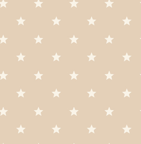  4203-27581 Starry Motif Light Brown Geometric Wallpaper
