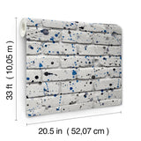 4203-27589 Splatter Wall Grey Abstract Wallpaper
