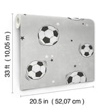 4203-27590 Footballs Grey Soccer Wallpaper