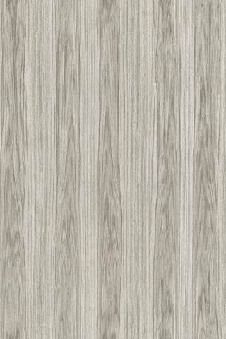 42052 Ligna Roots  Wallpaper