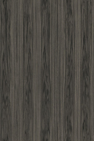 42055 Ligna Roots Wallpaper