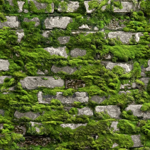 45731 Stone optic Green Wallpaper