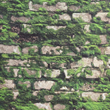 45732 Light gray Green faux old distressed mossy bricks moss background wallpaper 3D