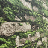 45732 Light gray Green faux old distressed mossy bricks moss background wallpaper 3D