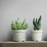 45776 Uni Silver Grey Wallpaper
