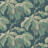 4838 Kastanj Spruce Wallpaper