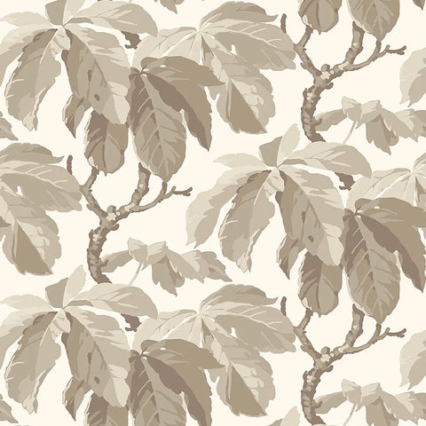 4840 Kastanj Stone Wallpaper