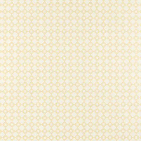 5003231 Shake It Up Natural Wallpaper