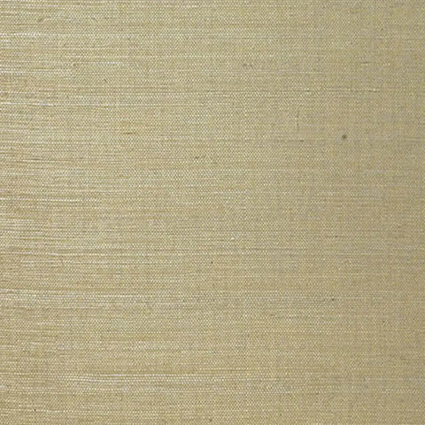 5003592 Linyi Ground Mist Wallpaper