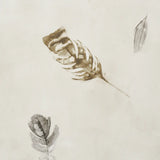 5016061 Woodland Feathers Autumn Wallpaper