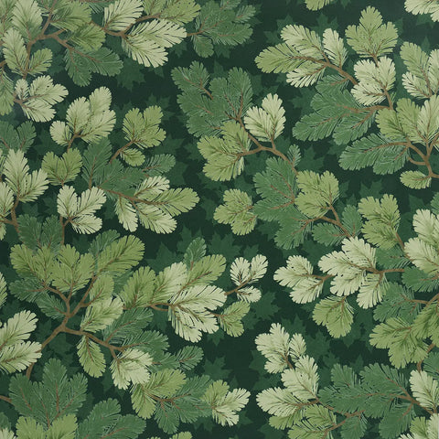  5016071 Covey Hedge Forest Wallpaper