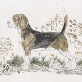 5016081 Chasers Legacy Bark Wallpaper