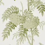 5016350 Brantwood Vine Leaf Wallpaper