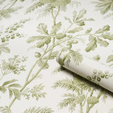 5016350 Brantwood Vine Leaf Wallpaper