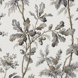 5016352 Brantwood Vine Graphite Wallpaper