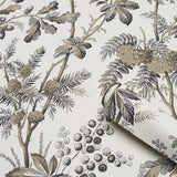 5016352 Brantwood Vine Graphite Wallpaper