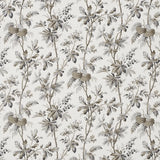 5016352 Brantwood Vine Graphite Wallpaper