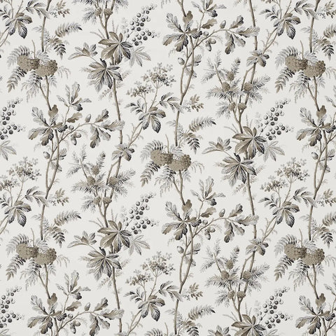 5016352 Brantwood Vine Graphite Wallpaper