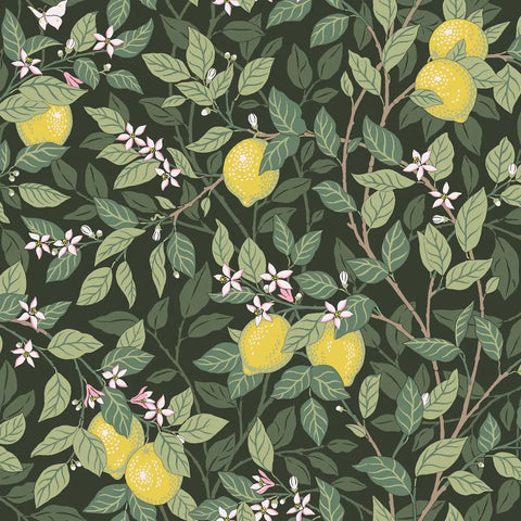 5701 Citrontrad Green Wallpaper