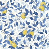 6150 Citrontrad Blue and Yellow Wallpaper
