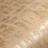 64327 Zeus Bronze Brown Wallpaper