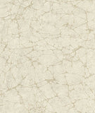 73110X Shell Textures Wallpaper 