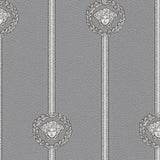 79173-3 Graphics Modern Stripes Versace 6 Wallpaper 