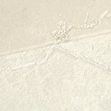 79174-6 Greek Graphics Modern Versace 6 Wallpaper