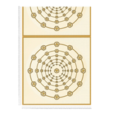 79175-1 Baroque Graphics Modern Versace 6 Wallpaper